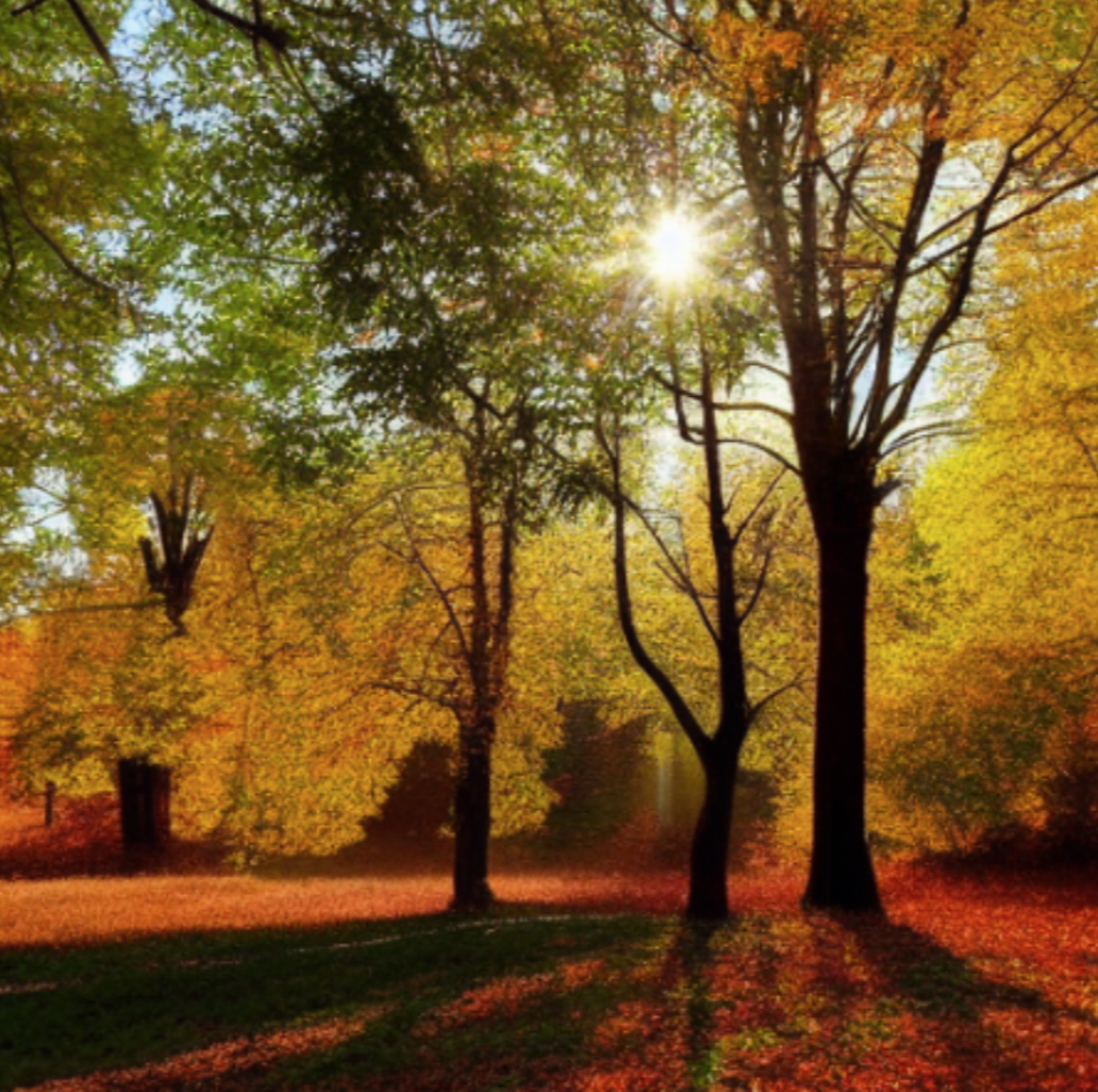 Wald im Herbst mit Sonnenstrahlen